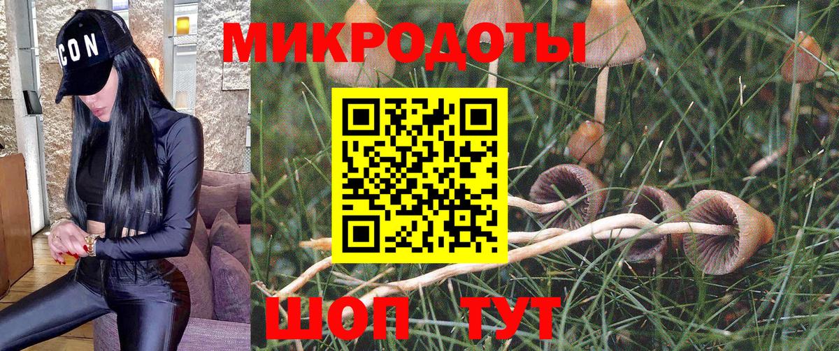 Нижнекамск  Галлюциногенные грибы мицелий  Галлюциногенные грибы Magic Shrooms  Вход с VPN 
